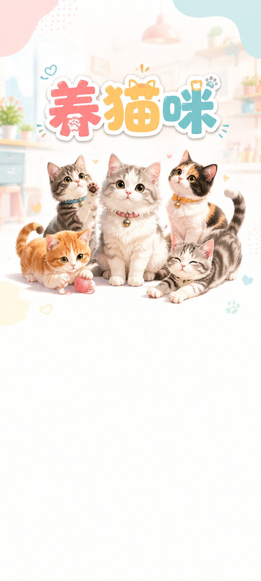 养猫咪